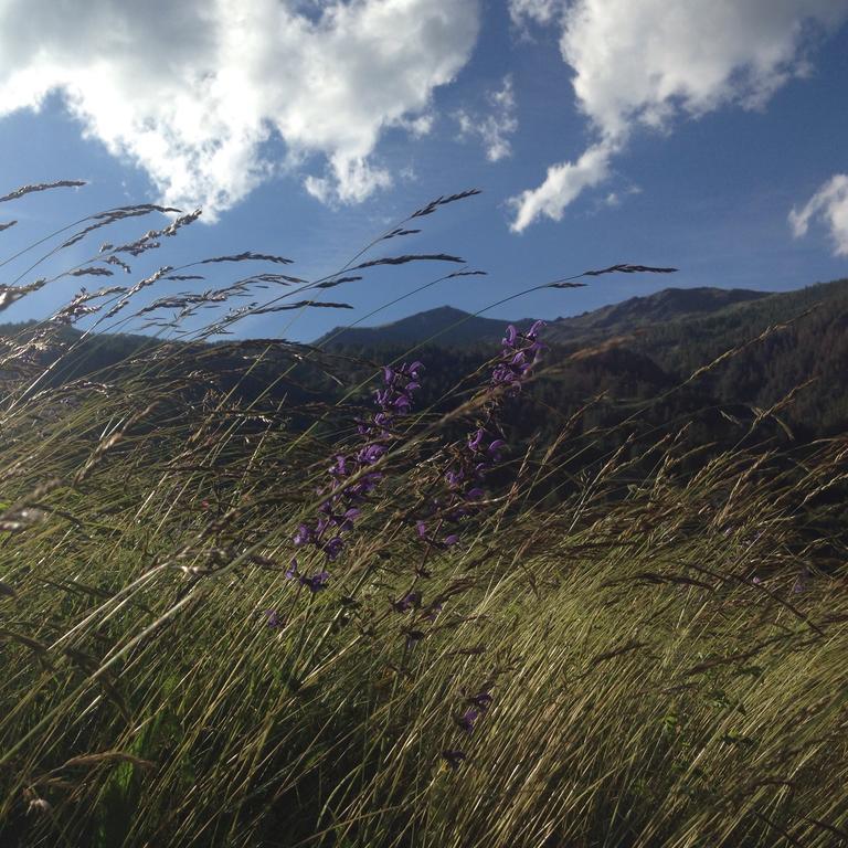Casa Del Re Leilighet Pragelato Eksteriør bilde